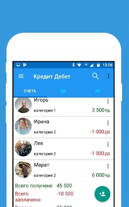 Credit Debit - Customer Ledger Preview 1
