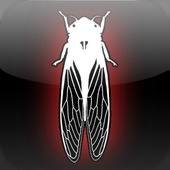 Dark Meadow The Pact
