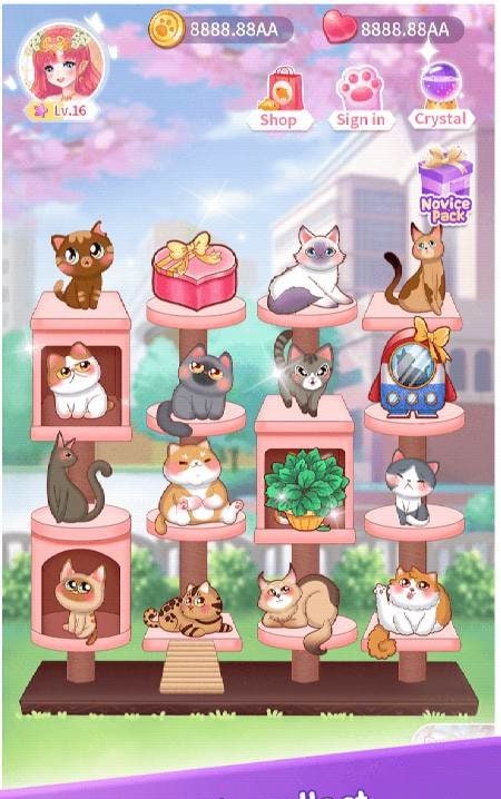 Cat Diary: Dress up Princess Screenshot 3