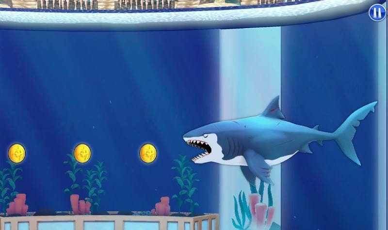 My Shark Show gameplay screenshot 3