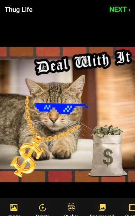 Thug Life Stickers: Photo Editor screenshot 3