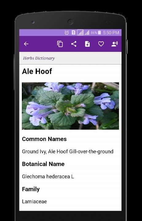 Herbs Dictionary screenshot 1