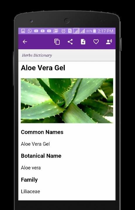 Herbs Dictionary screenshot 2