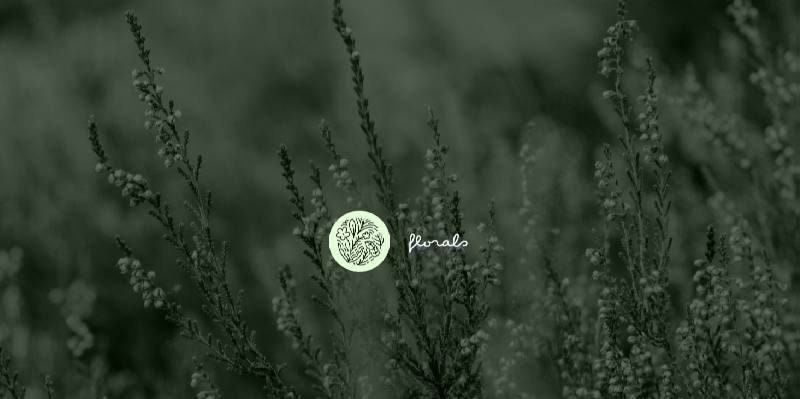 Florals - Wallpapers Preview 1