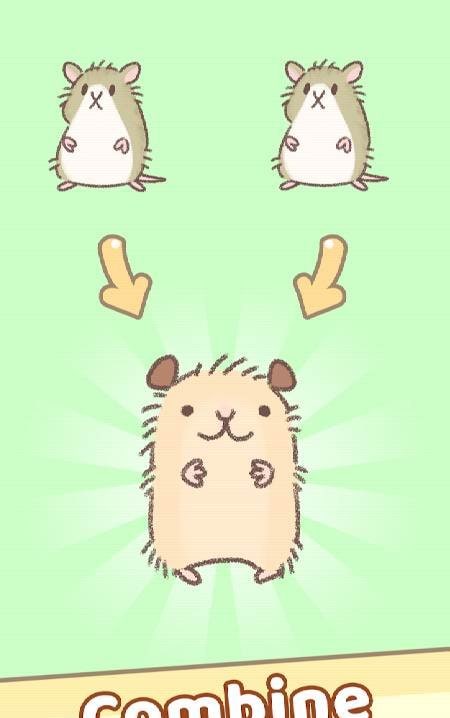 Hamster Race game preview 1