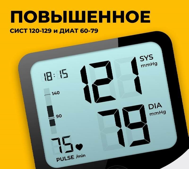 Blood Pressure Monitor screenshot 2