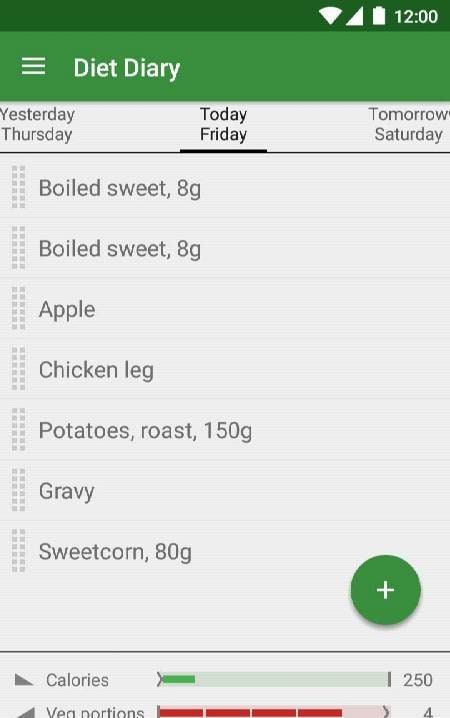 Simple Diet Diary interface overview