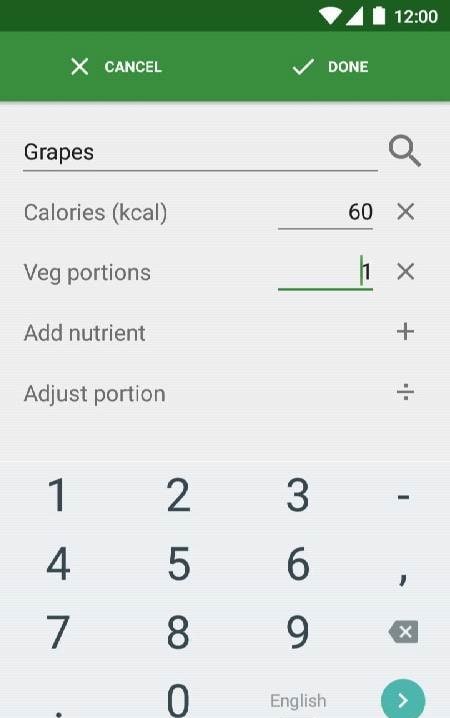 Simple Diet Diary widget configuration
