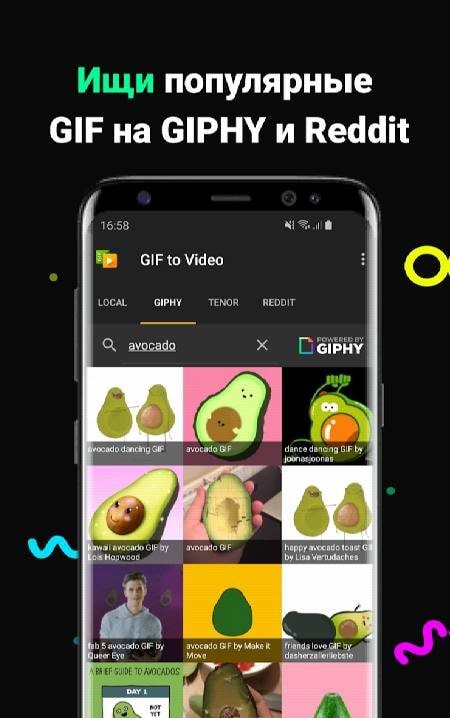 GIF to Video app screenshot 2