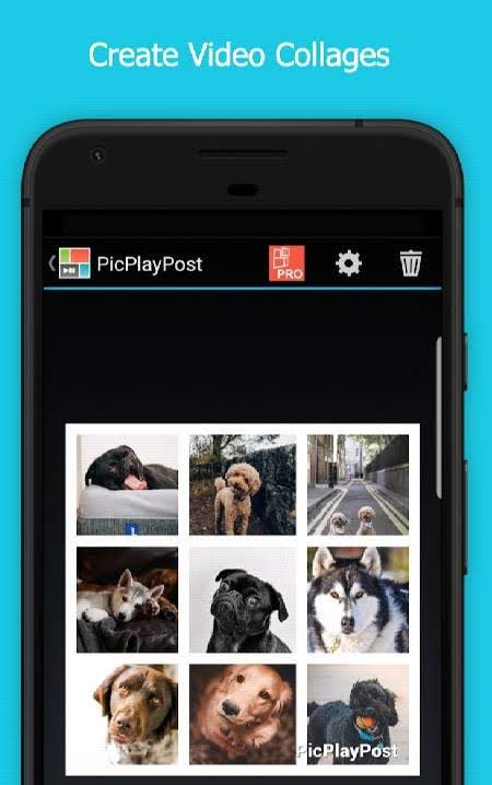 PicPlayPost interface preview 1