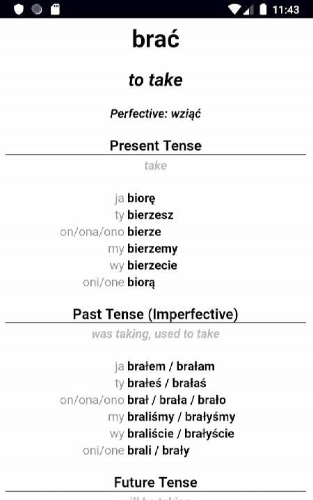 Polish Verb Blitz Pro screenshot 3