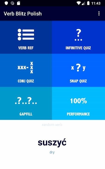 Polish Verb Blitz Pro screenshot 1