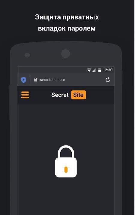 Fly Internet - Web browser with free VPN connection screen