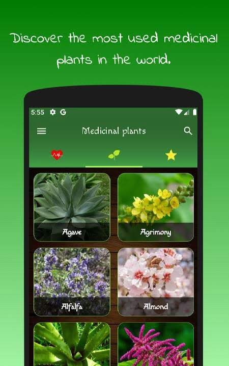 myRemedy: Medicinal Plants and Their Uses screenshot 1