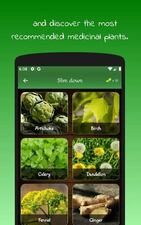 myRemedy: Medicinal Plants and Their Uses screenshot 3