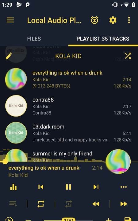 LAP - Local Audio Music Player screenshot 2