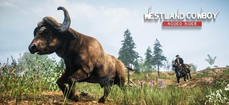 Cowboy Rodeo Rider - Wild West Safari screenshot 3
