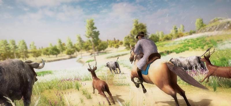 Cowboy Rodeo Rider - Wild West Safari screenshot 2