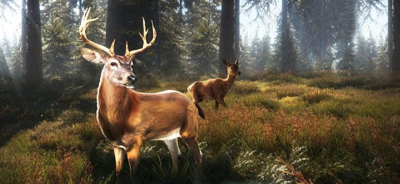 The Hunter 3D : Hunting Game screenshot 1