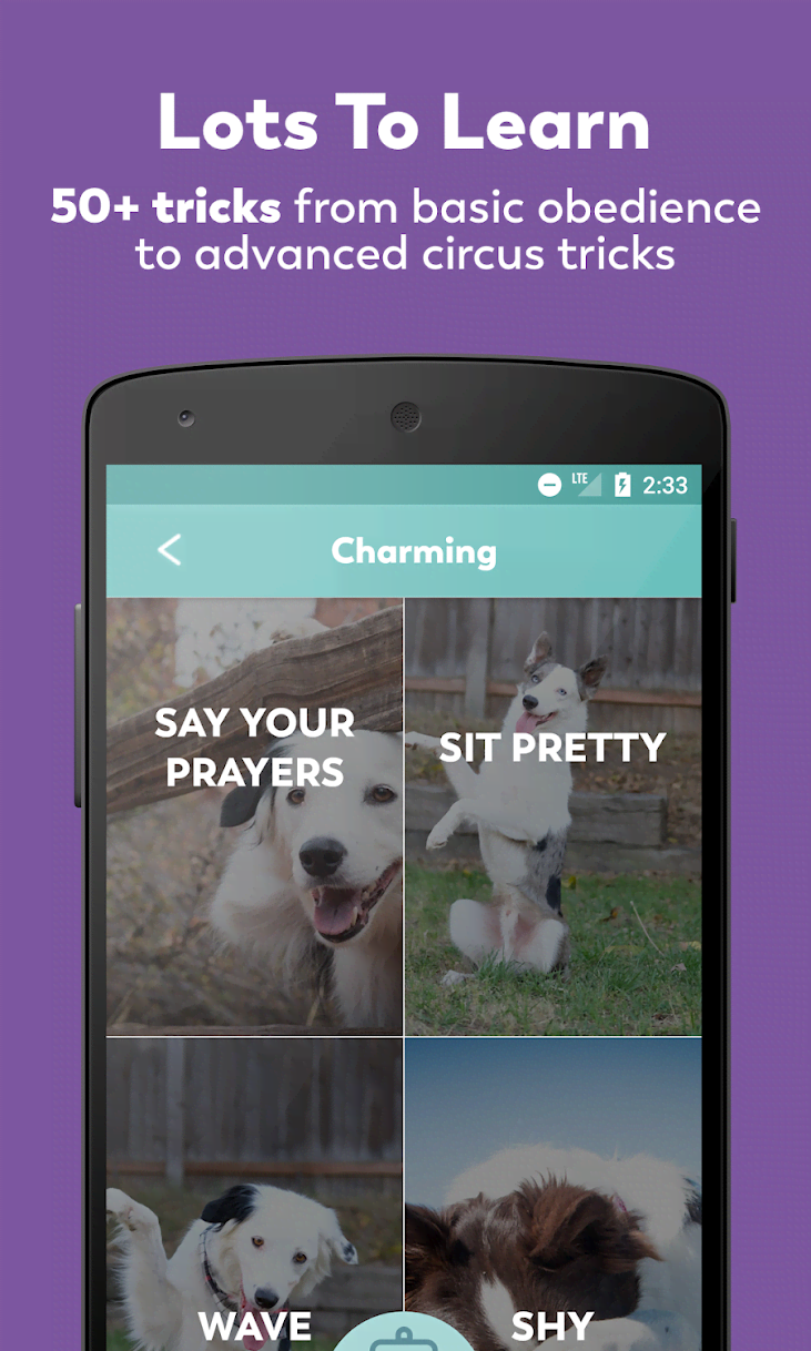 Puppr - Dog Training & Tricks screenshot 2