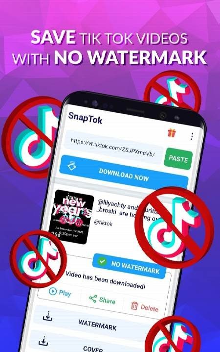 SnapTok: TikTok Video Downloader without Watermark screenshot 2