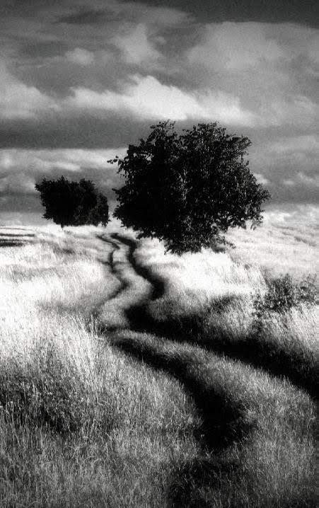 Dramatic Black & White screenshot 2