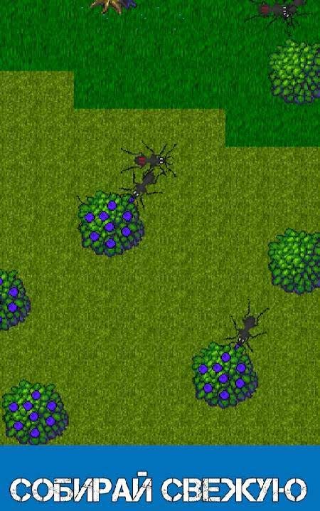 Ant Evolution - Ant Terrarium and Life Simulator screenshot 2