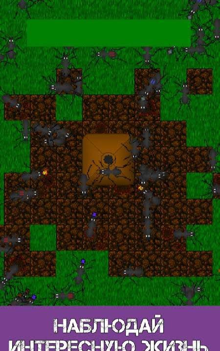 Ant Evolution - Ant Terrarium and Life Simulator screenshot 1