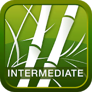Human Japanese Intermediate