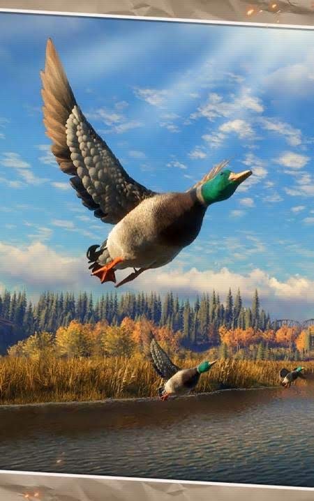 Hunting World: Deer Hunter Sniper Shooting screenshot 4