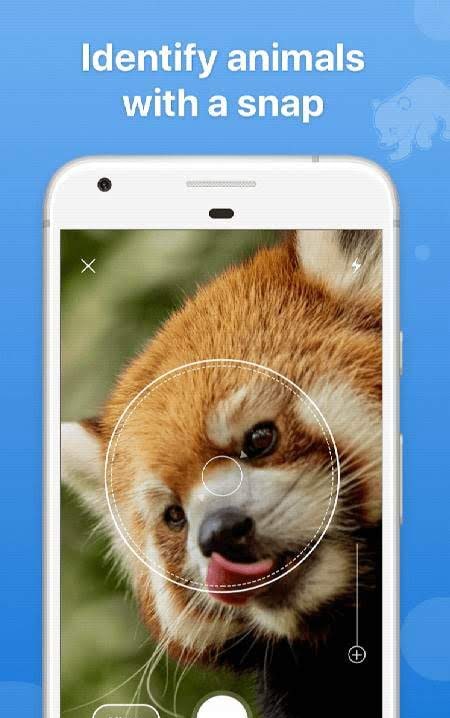Picture Animal - Animal ID Pro screenshot 1