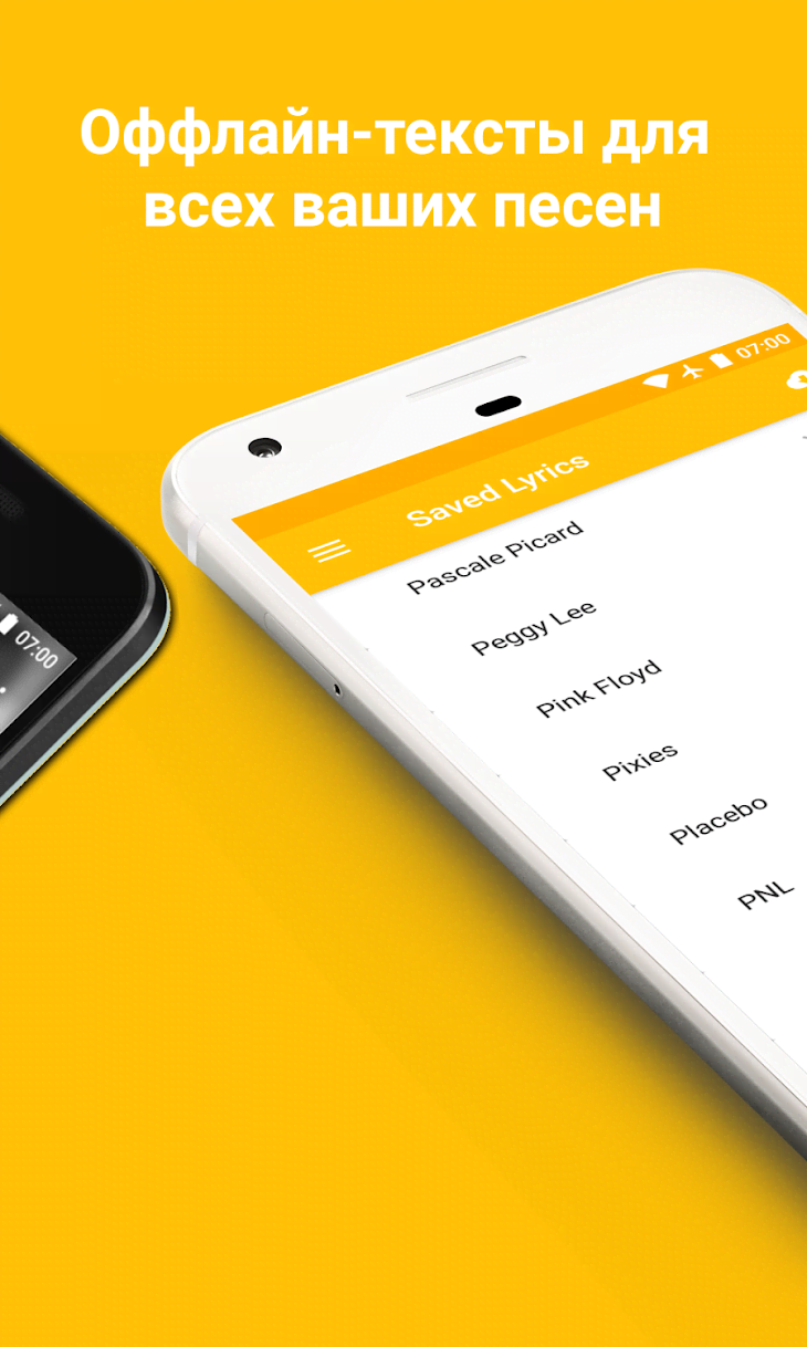 QuickLyric - Instant Lyrics screenshot 3