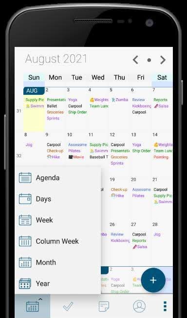 Informant 5 - Calendar screenshot 3