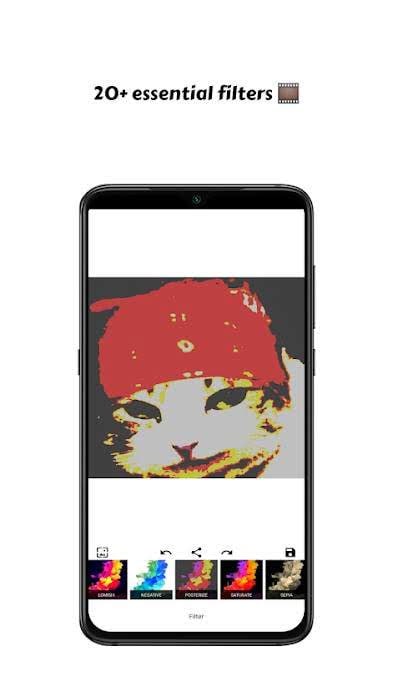 Pichype Pro - Photo Editor, Filters & Stickers, Crop screenshot 2