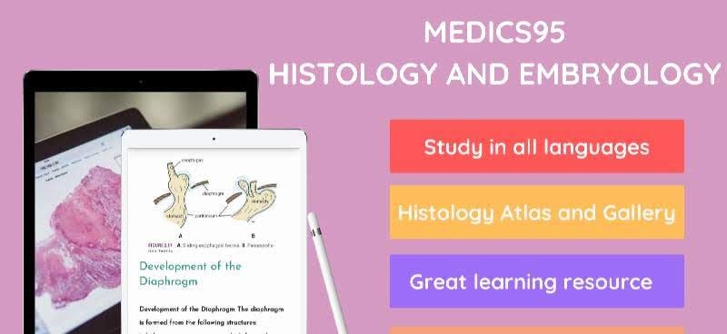 Medics95: Histology And Embryology screenshot 1