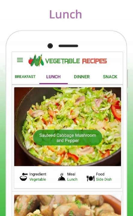 Healthy Vegetable Recipes screenshot 2