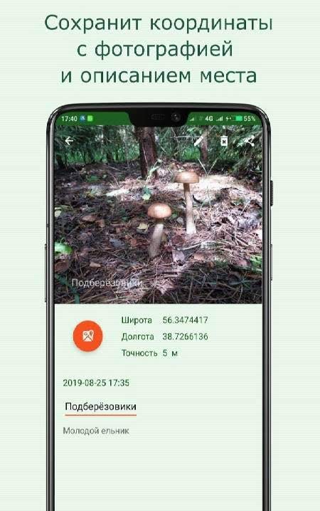 Forest Navigator Lite screenshot 2