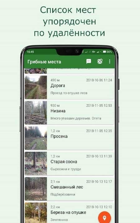 Forest Navigator Lite screenshot 3