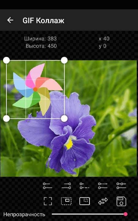 GIF Studio screenshot 4