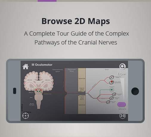 Neuro Anatomy Next screenshot 3