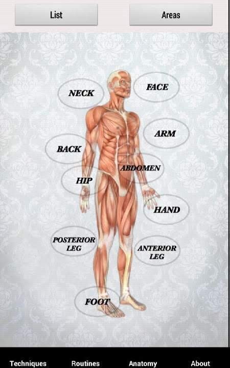 Massage Techniques preview 3