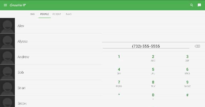 GrooVe IP Pro (Ad Free) connectivity view