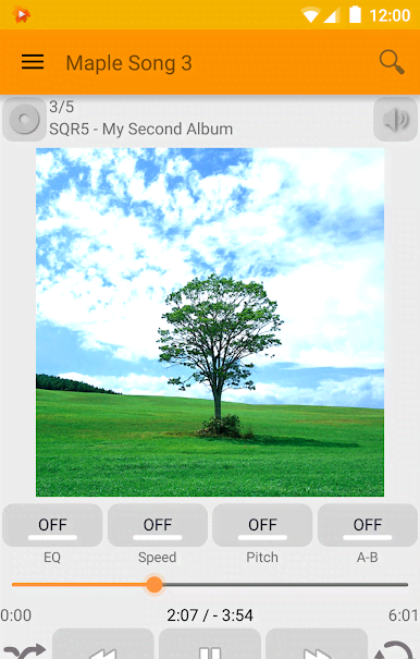 Maple Player JB screenshot 4