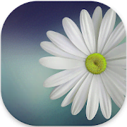 Gallery Lite - No Ads