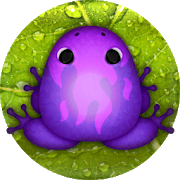 Pocket Frogs