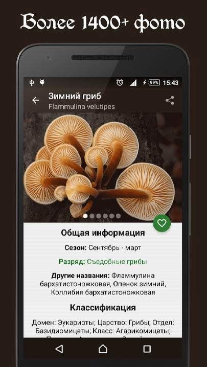 Book of Mushrooms PRO interface preview
