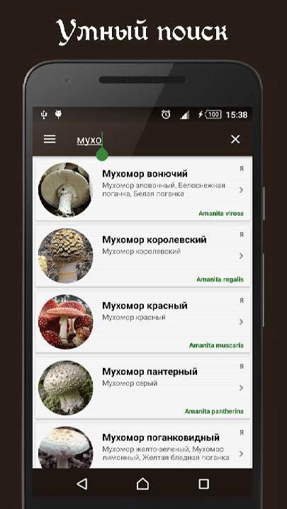 Book of Mushrooms PRO identification guide