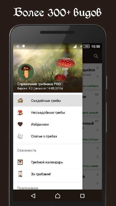 Book of Mushrooms PRO settings and features