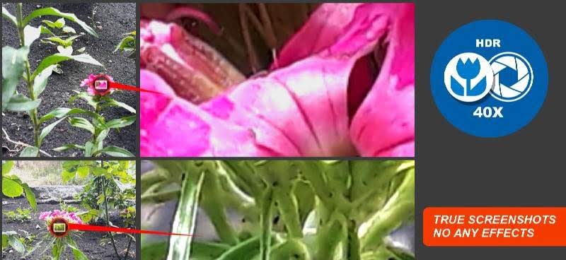 Macro Photography Camera. Live 40x Zoom screenshot 2
