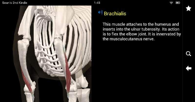 Dog Anatomy: Canine 3D screenshot 3